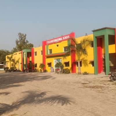 2026 VSD International School banner image 1